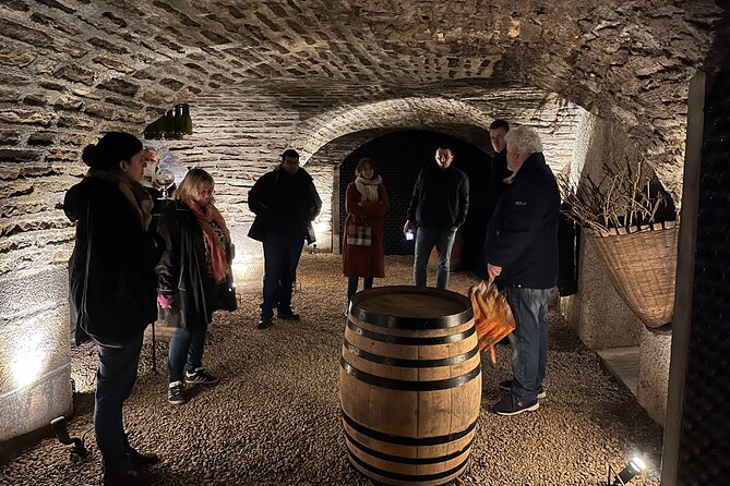 Burgundy Grand Crus Route Day Tour - 14 Wines Tastings in Domains - How This Tour Makes Burgundy Make Sense (Not Just Taste Nice)