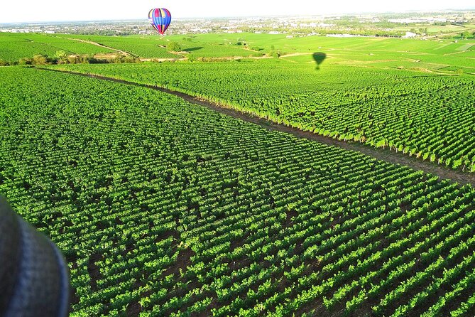 Burgundy Hot-Air Balloon Ride from Beaune - Logistics That Can Catch You Off Guard (And How to Handle Them)