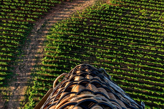 Burgundy Hot-Air Balloon Ride from Beaune - The Real Itinerary: From Briefing to Lift-Off to Landing
