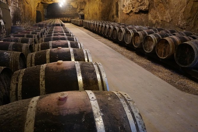 Burgundy Wine Tasting Small-Group Tour in Chablis from Paris - Domaine Jean-Marc Brocard: the Chablis tasting that often gets the highest praise