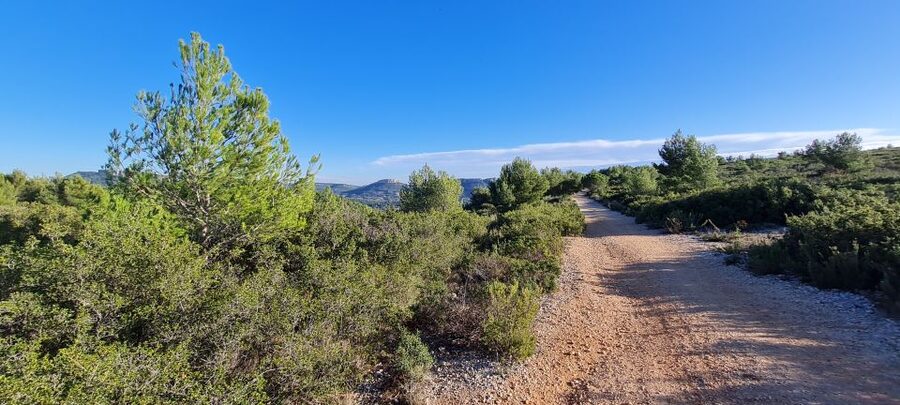 Calanques National Park: E-Mountain Bike with Virtual Guide - How sporty is it, and what the comfort requirements really mean