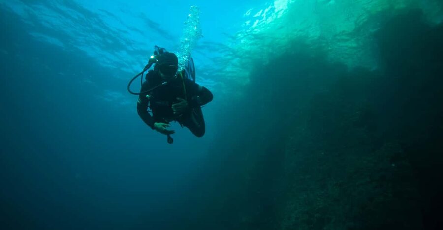 Calanques National Park Snorkel and Scuba Dive - The 09:45 boat ride: quick, scenic, and purpose-built