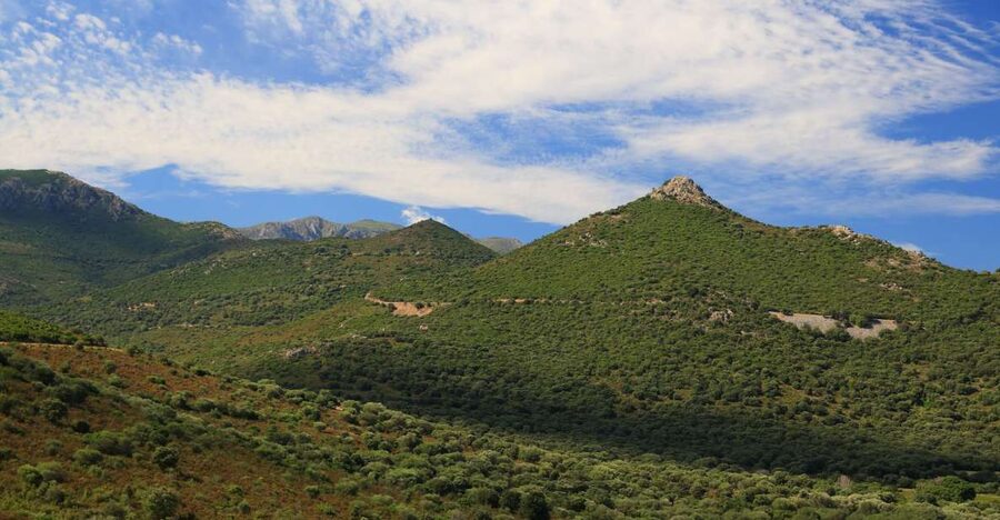 Calvi: Asco Valley 4x4 Day Tour with Guide - Key Highlights You Will Care About