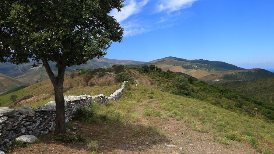 Calvi: Asco Valley 4x4 Day Tour with Guide - The 4x4 Ride Reality Check: Fun, But Know What You Are Signing Up For