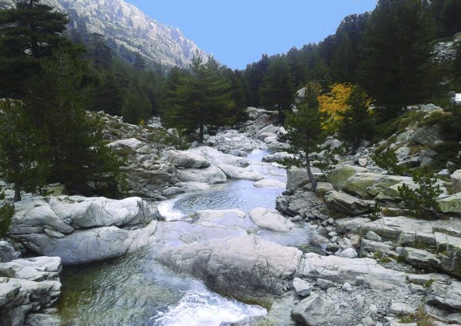 Calvi: Asco Valley 4x4 Day Tour with Guide - Who Should Book This, and Who Might Want Something Easier