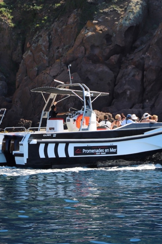 Calvi: Scandola and Girolata 6-Hour Boat Tour - Key Takeaways