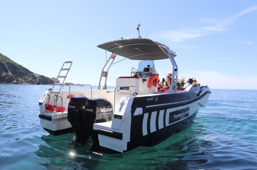 Calvi: Scandola and Girolata 6-Hour Boat Tour - Value for $135: What You Actually Pay For