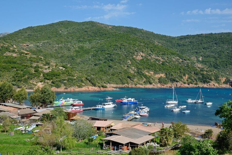 Calvi: Scandola and Girolata 6-Hour Boat Tour - 1 Hour Along the West Coast Before Scandola