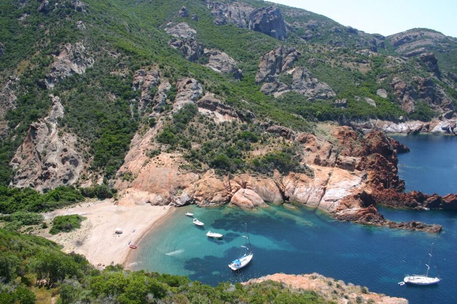 Calvi to Scandola: 4-Hour Boat Tour - Key points before you go