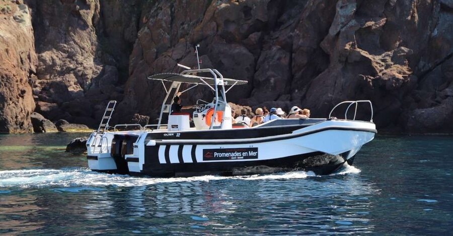 Calvi to Scandola: 4-Hour Boat Tour - Calvi to Scandola by boat: why this 4-hour format works