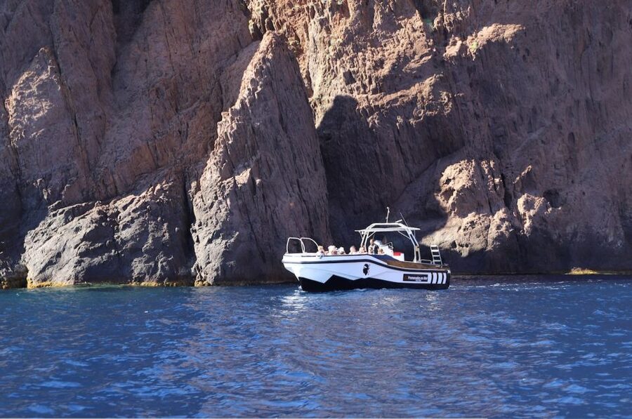 Calvi to Scandola: 4-Hour Boat Tour - Cave stops and the rock formations you actually see up close