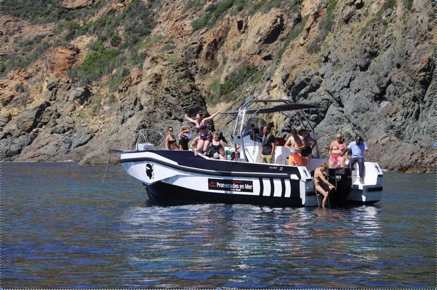 Calvi to Scandola: 4-Hour Boat Tour - Aperitif time: Corsican sun, soft drinks, and a relaxed finish