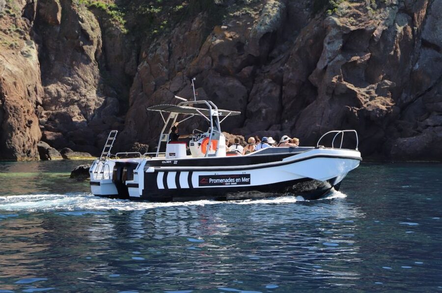 Calvi to Scandola: 4-Hour Boat Tour - Comfort and seasickness: what to pack for a small boat day