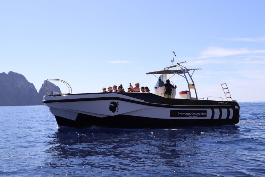 Calvi to Scandola: 4-Hour Boat Tour - Price and value: is $105 per person worth it?