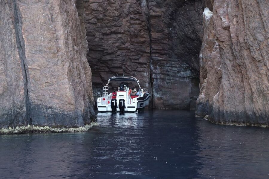 Calvi to Scandola: 4-Hour Boat Tour - Meeting in Calvi and getting settled on Santa Regina