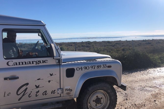 Camargue 4x4 Safari 2 hours Saintes Maries de la Mer - Getting Into the Right Gear for Camargue Marsh Views