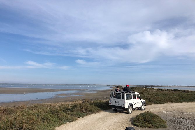 Camargue 4x4 Safari 2 hours Saintes Maries de la Mer - Should You Book the Camargue 4x4 Safari to Saintes-Maries?