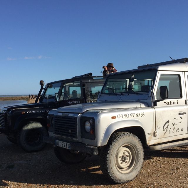 Camargue: Safari from Saintes-Maries-de-la-Mer - Visiting a bull farm with black bulls: the work behind the icon