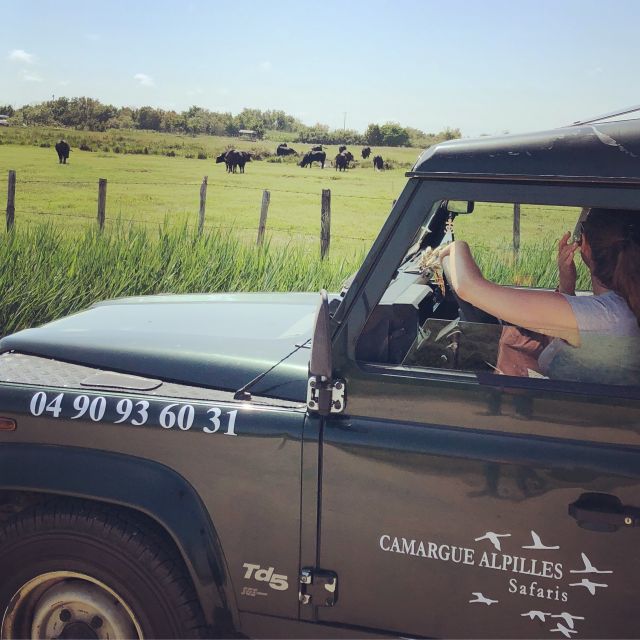 Camargue: Safari from Saintes-Maries-de-la-Mer - Riding in a convertible 4x4: fun views, practical comfort notes