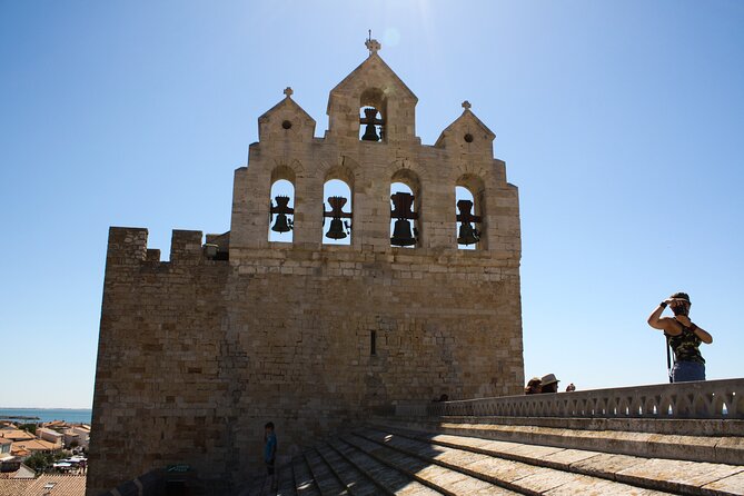 Camargue Small-Group Day Trip from Avignon - Who should book this Camargue trip from Avignon