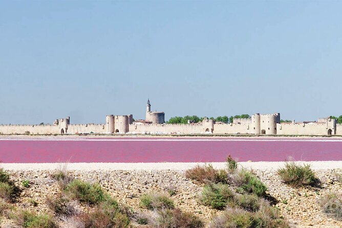 Camargue Small-Group Day Trip from Avignon - Guides matter: the tone you’re likely to get