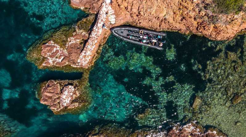 Cannes: 2.5-Hour Esterel Calanques Boat Excursion - Key points to know before you go