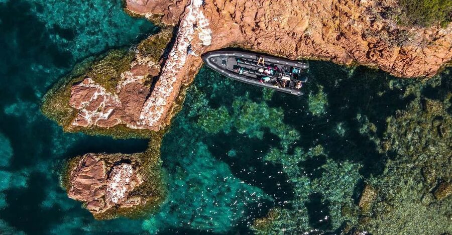 Cannes: 2.5-Hour Esterel Calanques Boat Excursion - Getting to Black Tenders at Port du Béal (without stress)