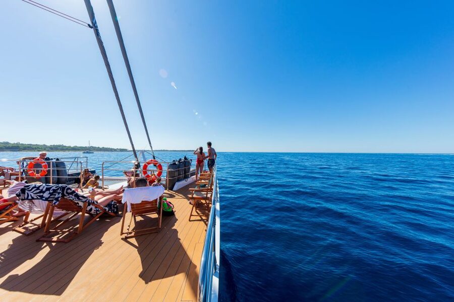 Cannes: Half-Day Catamaran Cruise with Lunch - Sailing toward the Lérins Islands: the swim and snorkel break