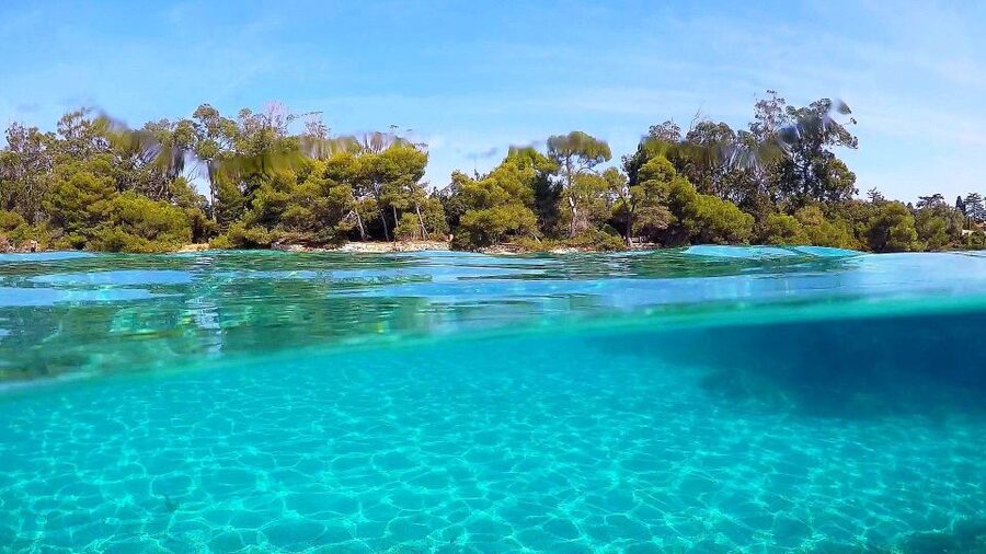 Cannes: Private Boat Trip to Lerins Islands & Cap d'Antibes - Price and value: group cost plus the 200 euro skipper fee