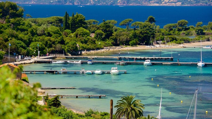 Cannes: Private Boat Trip to Lerins Islands & Cap d'Antibes - A sea-day built around the right starting point in Cannes