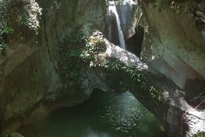 Canyoning discovery 3h in Aix les bains / Chambéry: Ternèze - Jumps, Slides, and the Swim Requirement You Should Take Seriously