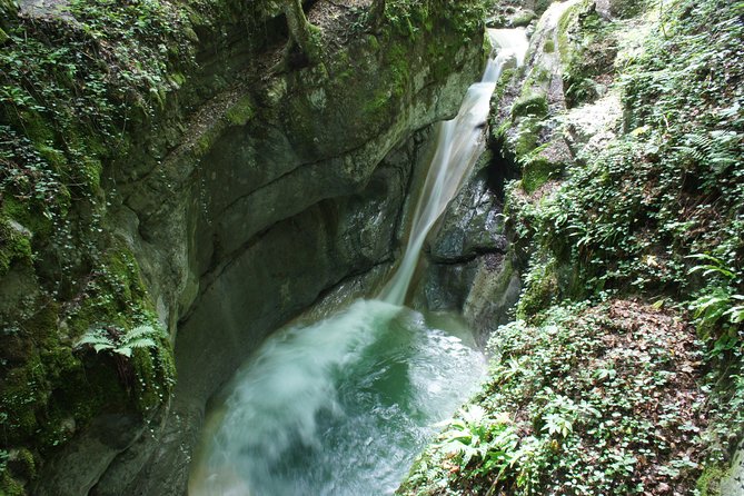 Canyoning discovery 3h in Aix les bains / Chambéry: Ternèze - English-Friendly and Mobile Ticket Convenience