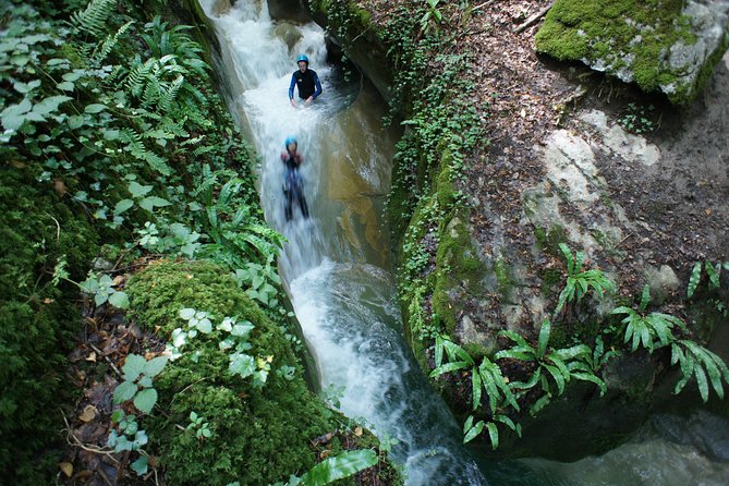 Canyoning discovery 3h in Aix les bains / Chambéry: Ternèze - Price, Timing, and What You Really Get for $71.20