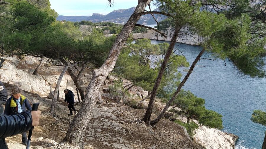 Cassis: 3 Calanques Half-Day Hiking Tour with Swimming - Stop 3: The Coast Toward Port-Pin, Plus the Turn Toward Marseille