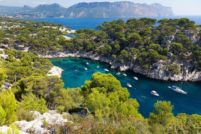 Cassis Half-Day Trip from Aix-en-Provence - Cassis Village Time: Port Walks, Coffee Stops, and Market Days
