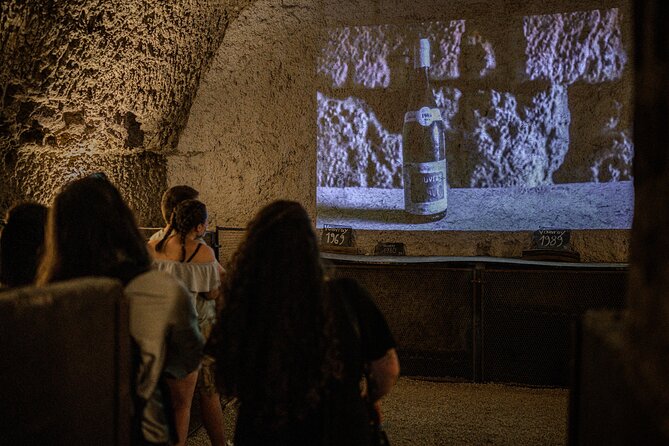 Caves Ambacia, Tour and Wine Tasting in Amboise, Loire Valley - The tasting: six Loire wines with a sommelier-led, structured approach
