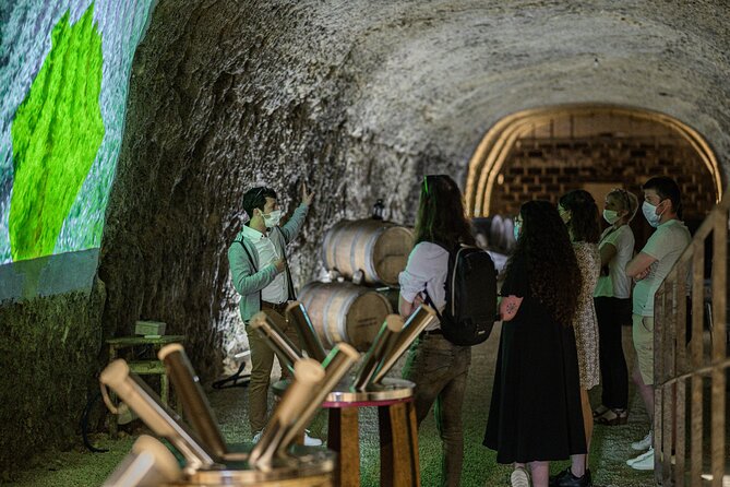 Caves Ambacia, Tour and Wine Tasting in Amboise, Loire Valley - How this tour helps you buy wine without feeling clueless