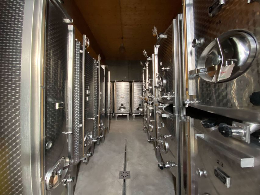 Cellar visit and Alsace wine tasting with a feminine touch - The tasting flight: 7 organic wines, spontaneous fermentation, and choosing what fits