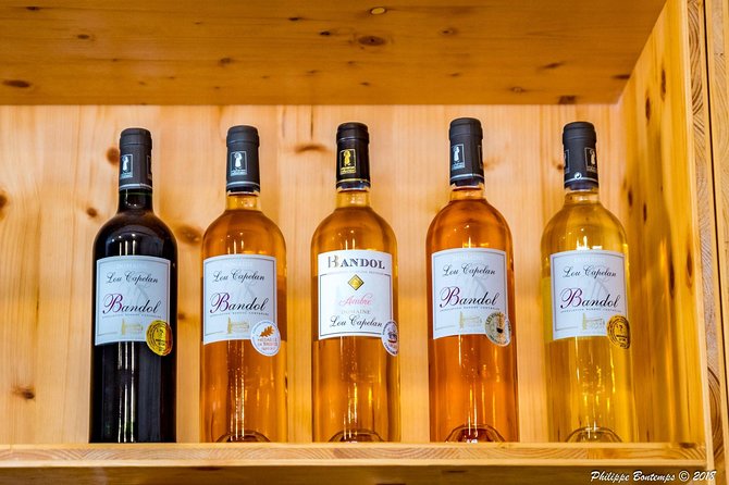 Cellar Visit & Bandol Wine Tasting (in French) - Why this Domaine Lou Capelan tasting fits your schedule