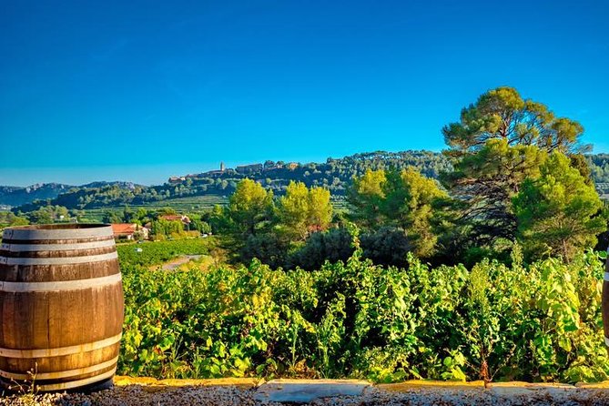 Cellar Visit & Bandol Wine Tasting (in French) - Small group energy: better questions, better flow