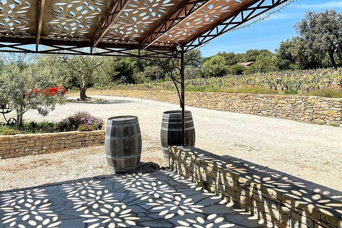 Cellar Visit & Bandol Wine Tasting (in French) - Practical tips so you get the most from your tasting