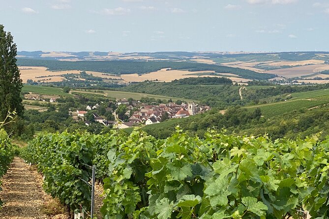 Chablis and Burgundy Wine Tour Run by Sommelier with Lunch - Burgundy Lunch With Wine, Cheese, and Meat That Ties the Day Together