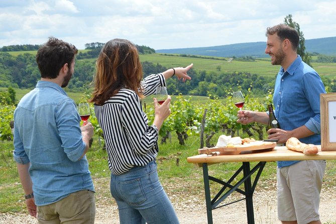 Chablis and Burgundy Wine Tour Run by Sommelier with Lunch - Chablis Village Time: A Chardonnay Place You Can Actually Walk Around