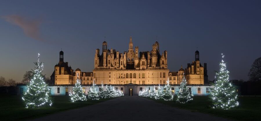 Chambord: Entry Ticket to the Castle - How much does this ticket cost, and is it worth it?