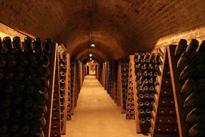 Champagne and Reims Tasting Day Trip from Paris - Abbaye Saint-Pierre dHautvillers: vines, terroir, and the “why”