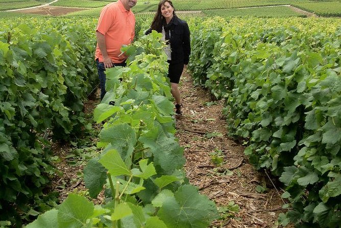 Champagne Area Small-Group Tour including a Top Champagne house & Family Winery - The House of Mumm Caves, another look at the same craft