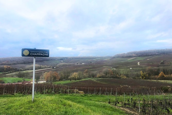 Champagne Area Small-Group Tour including a Top Champagne house & Family Winery - Countryside views and the Reims reality check