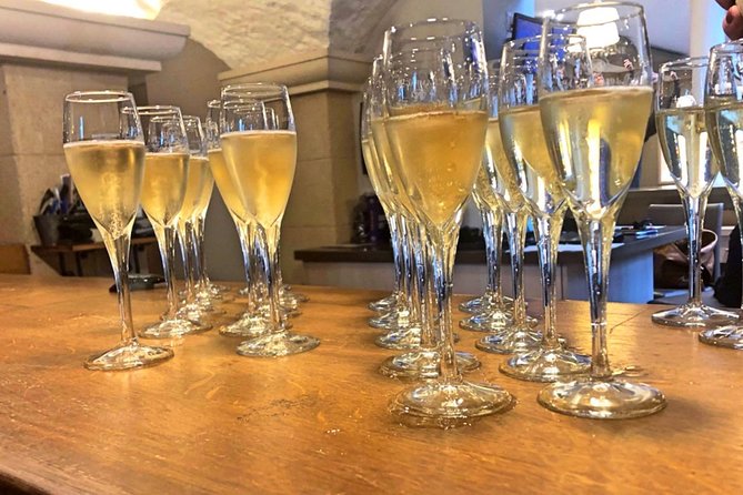 Champagne Area Small-Group Tour including a Top Champagne house & Family Winery - Who this Champagne tour fits best