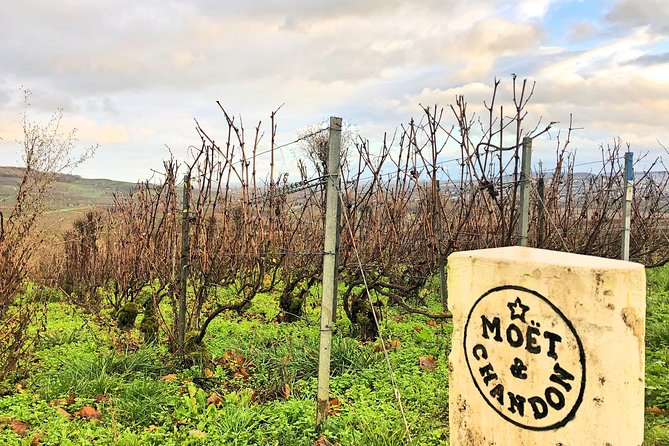 Champagne Area Small-Group Tour including a Top Champagne house & Family Winery - Family Winery in Hautvillers, where the tasting turns personal