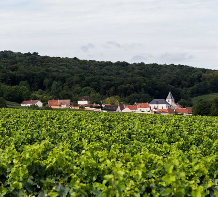 Champagne: Canard-Duchêne Champagne House Tour - What to wear and how to make the tour feel easy